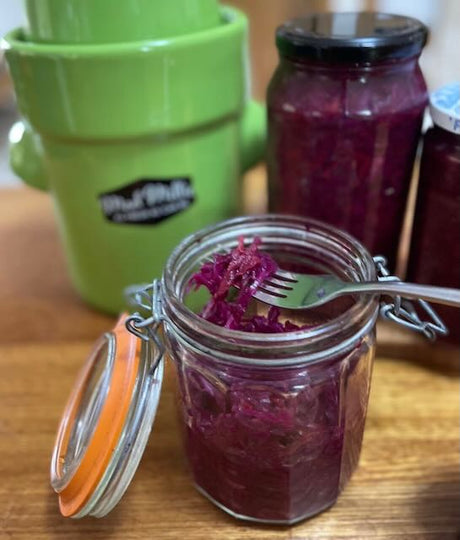 Let’s Make Sauerkraut