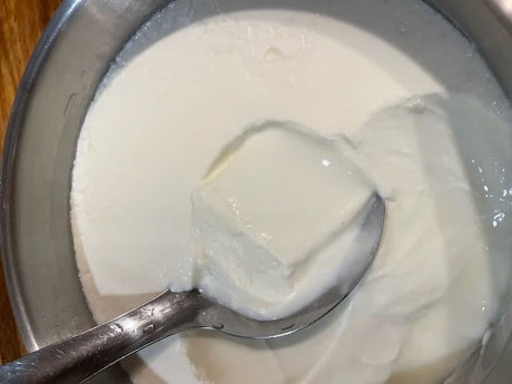 Make Your Own Yoghurt