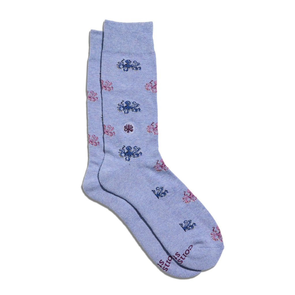 Conscious Step Socks 2026 Womens Size 5-9 / Mens Size 4-8 (Organic Cotton)