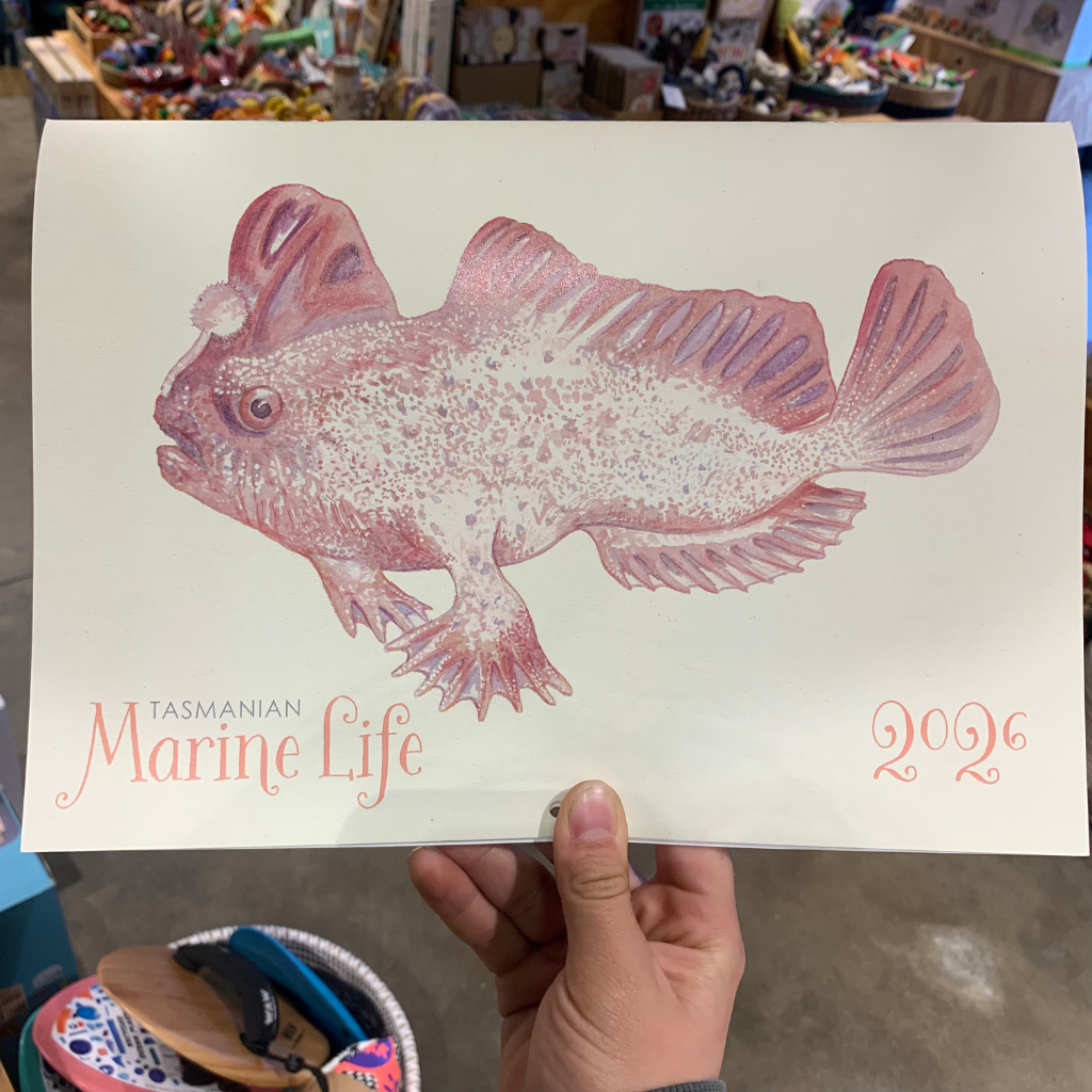 Georgie Davis Calendar Marine Life 2026