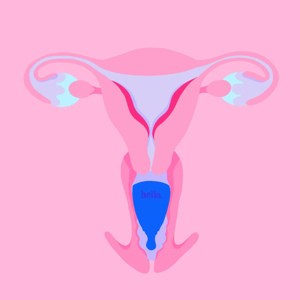 Hello Cup High Cervix