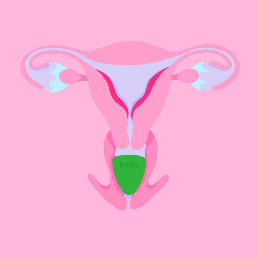 Hello Cup Low Cervix