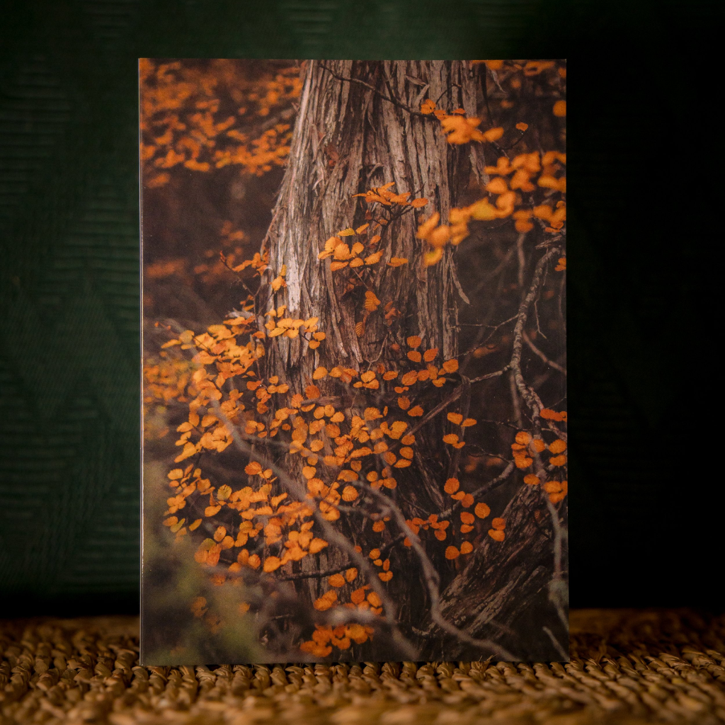 Huon Douglas Greeting Card