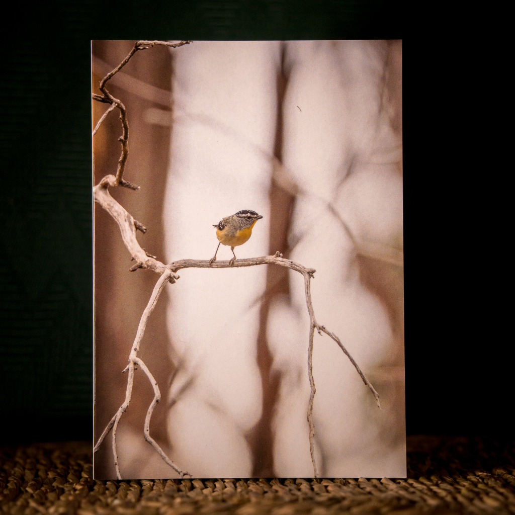 Huon Douglas Greeting Card