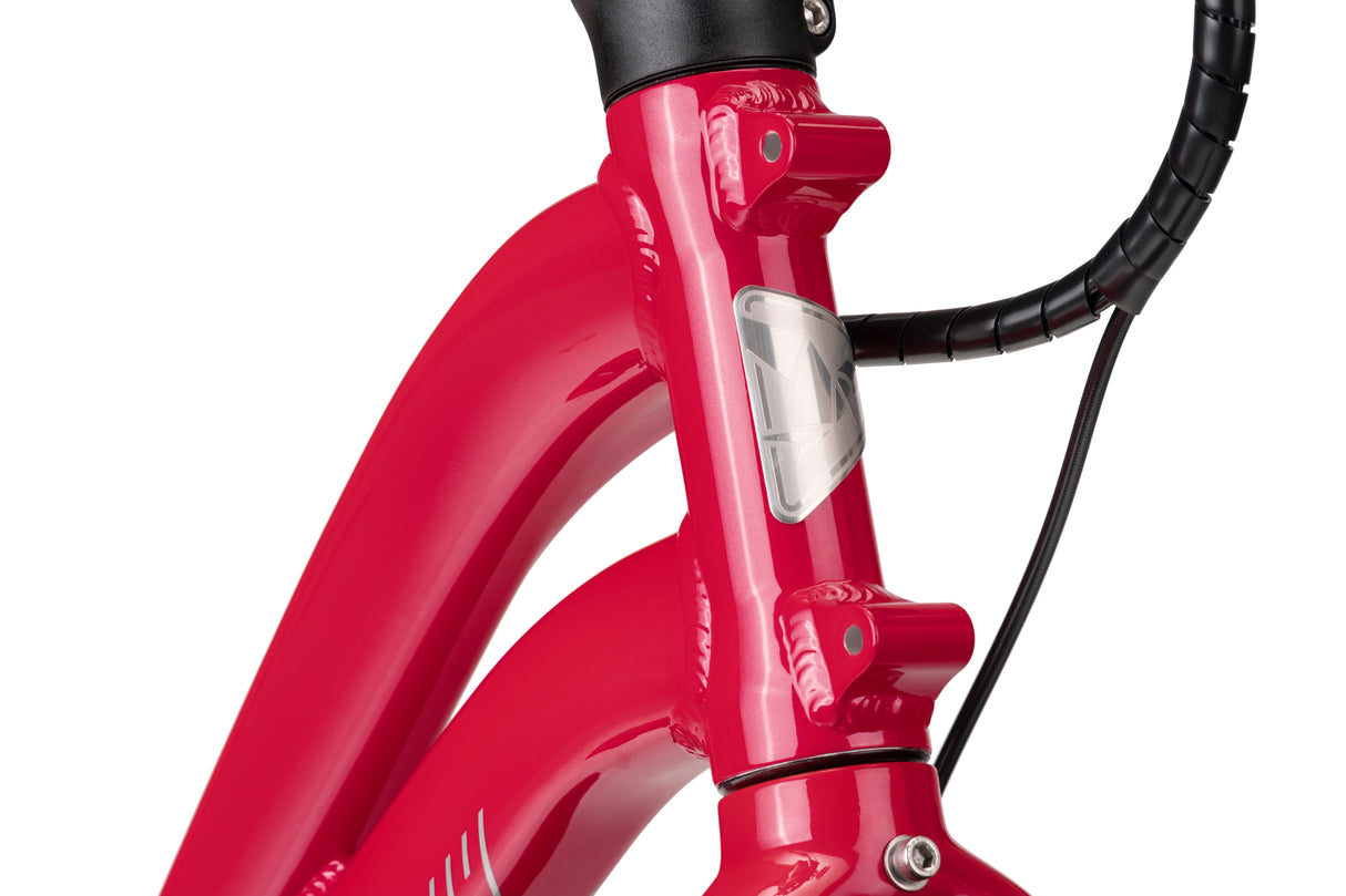 Tern NBD S5i e-Bike