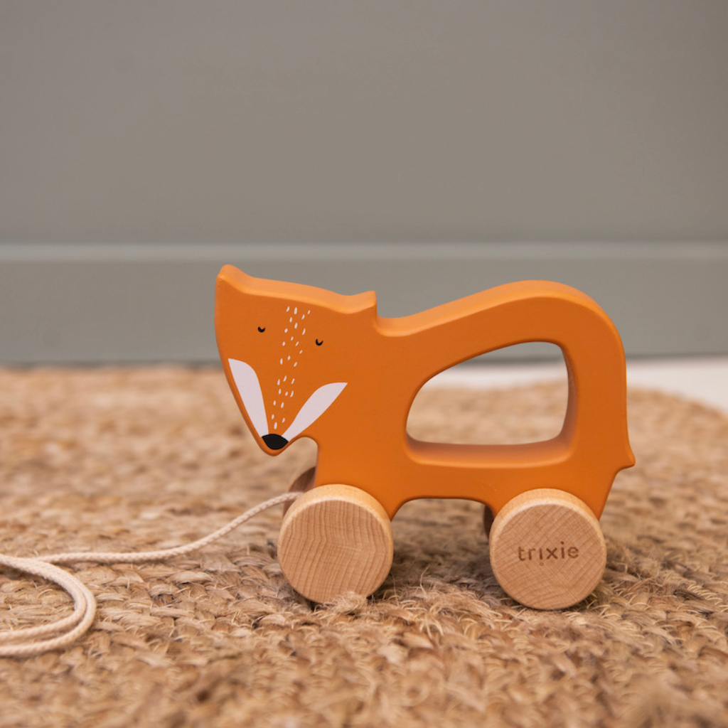 Trixie Pull Along Toy