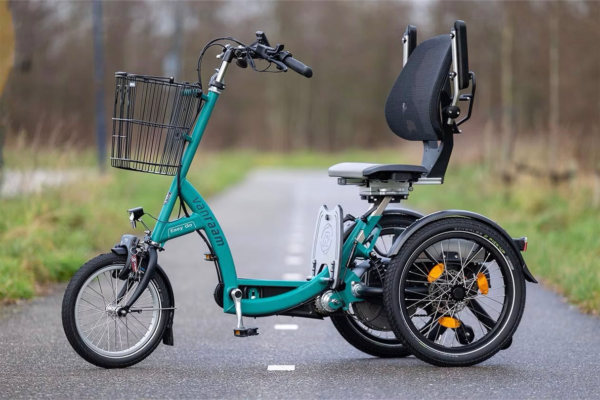 Van Raam Easy Go Electric Tricycle
