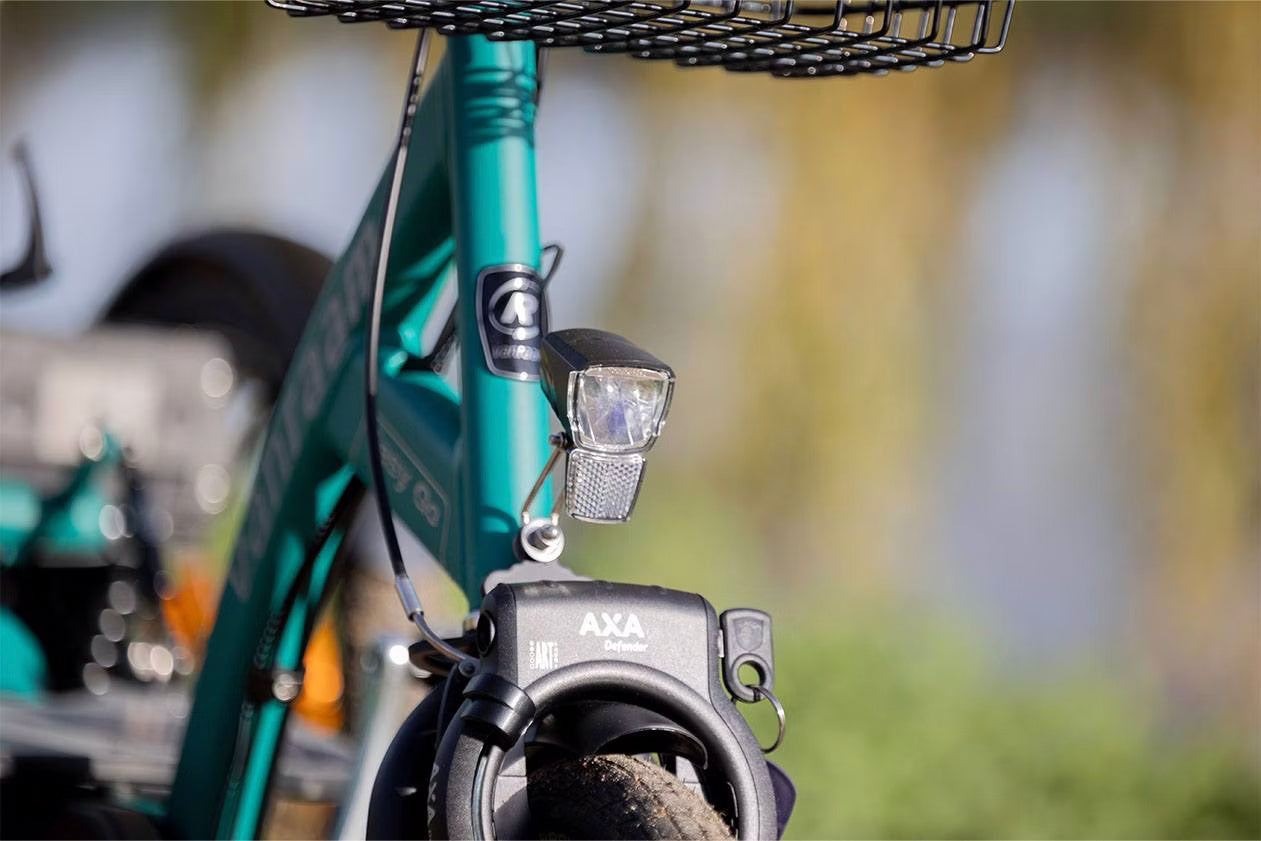 Van Raam Easy Go Electric Tricycle