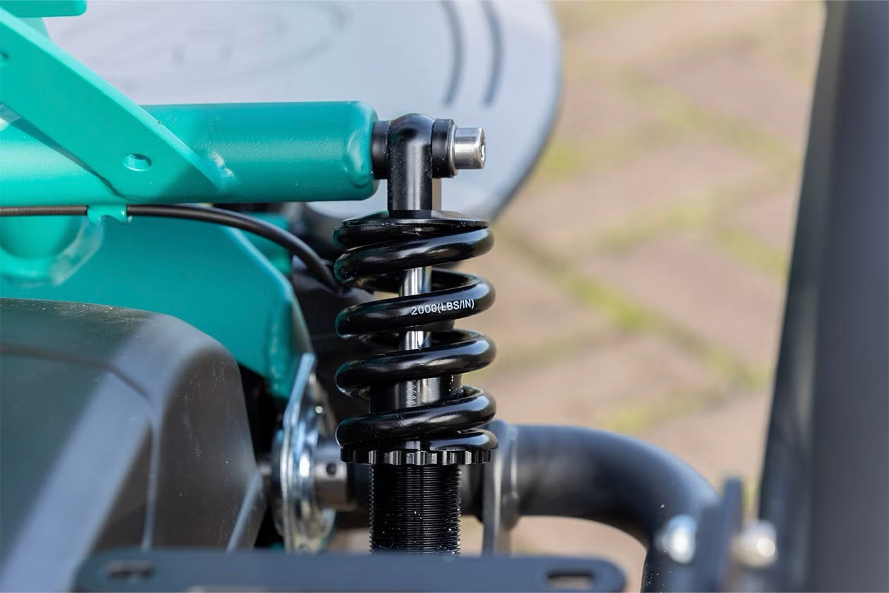 Van Raam Easy Go Electric Tricycle