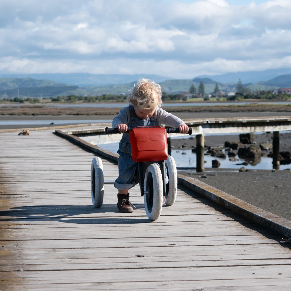 Wishbone Bike Bag