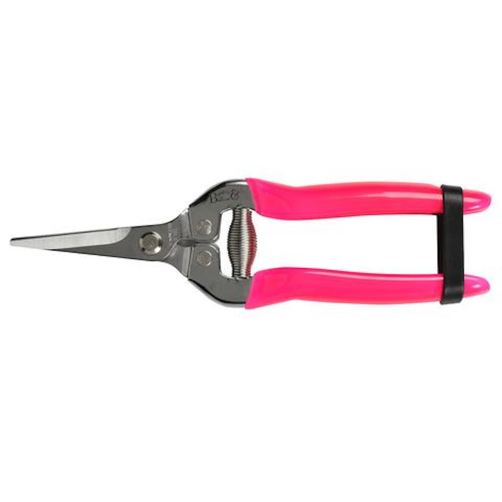 Burgon & Ball Florabrite Flower & Fruit Snip Secateurs