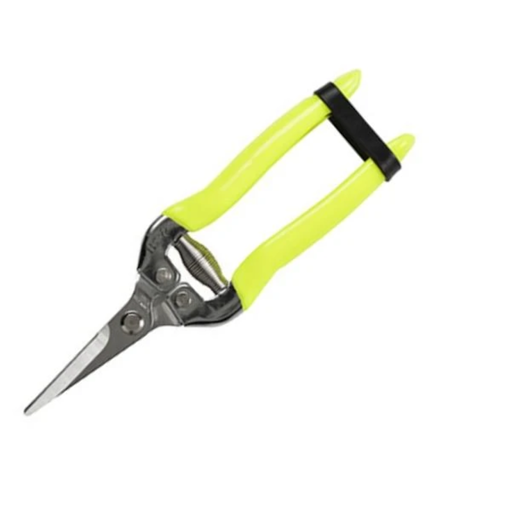 Burgon & Ball Florabrite Flower & Fruit Snip Secateurs
