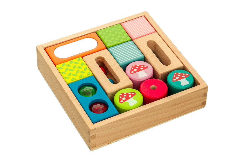 EverEarth Discovery Blocks with Sounds