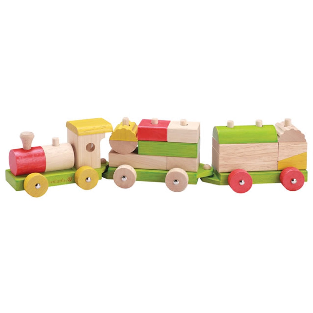 EverEarth Educational Sorting Train Blocks