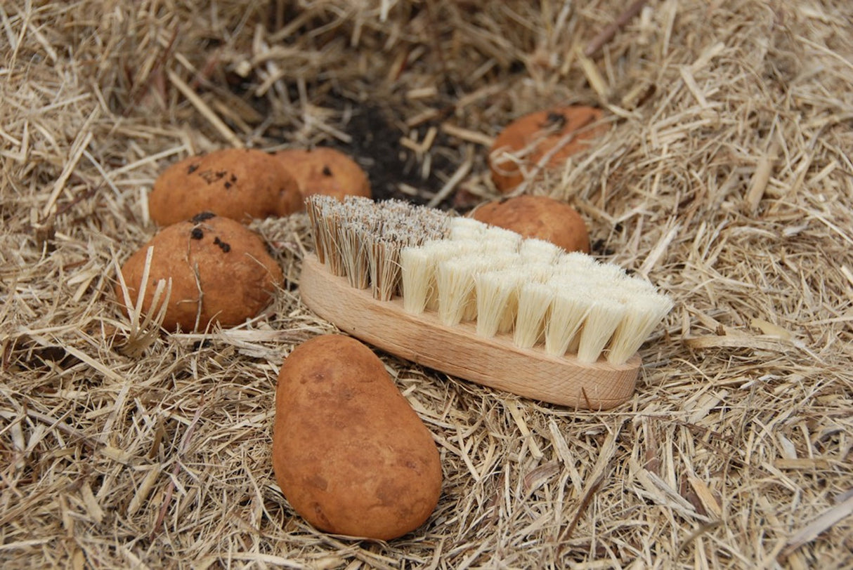 Kellerbursten Vegetable Brush