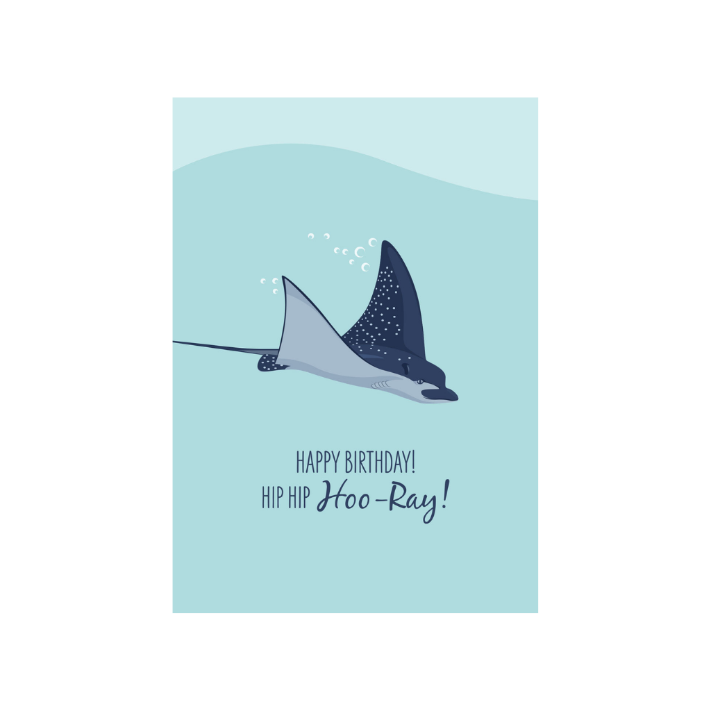 Sailfish Designs Birthday Card