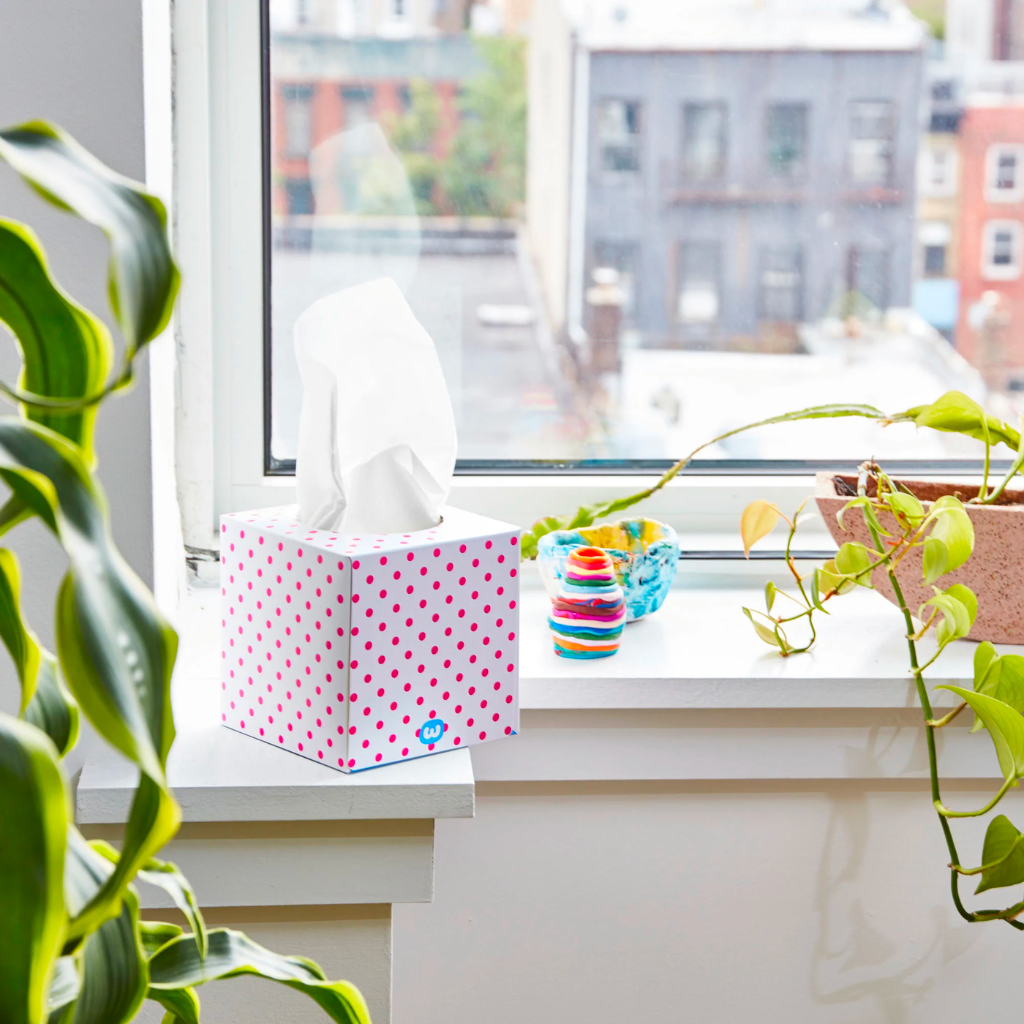 WGAC Single Box of Tissues