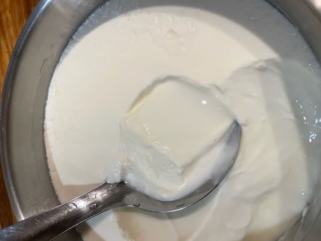 Make Your Own Yoghurt
