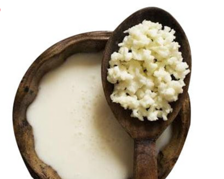 How to Activate Your Dried Kefir Milk Grains & Make Milk Kefir