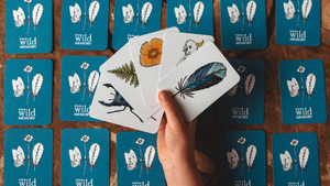 Card Games