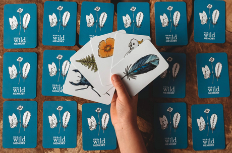Card Games