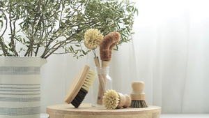 Brushes