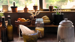 Fermenting Equipment