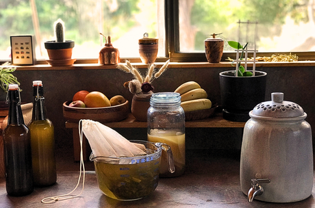 Fermenting Equipment