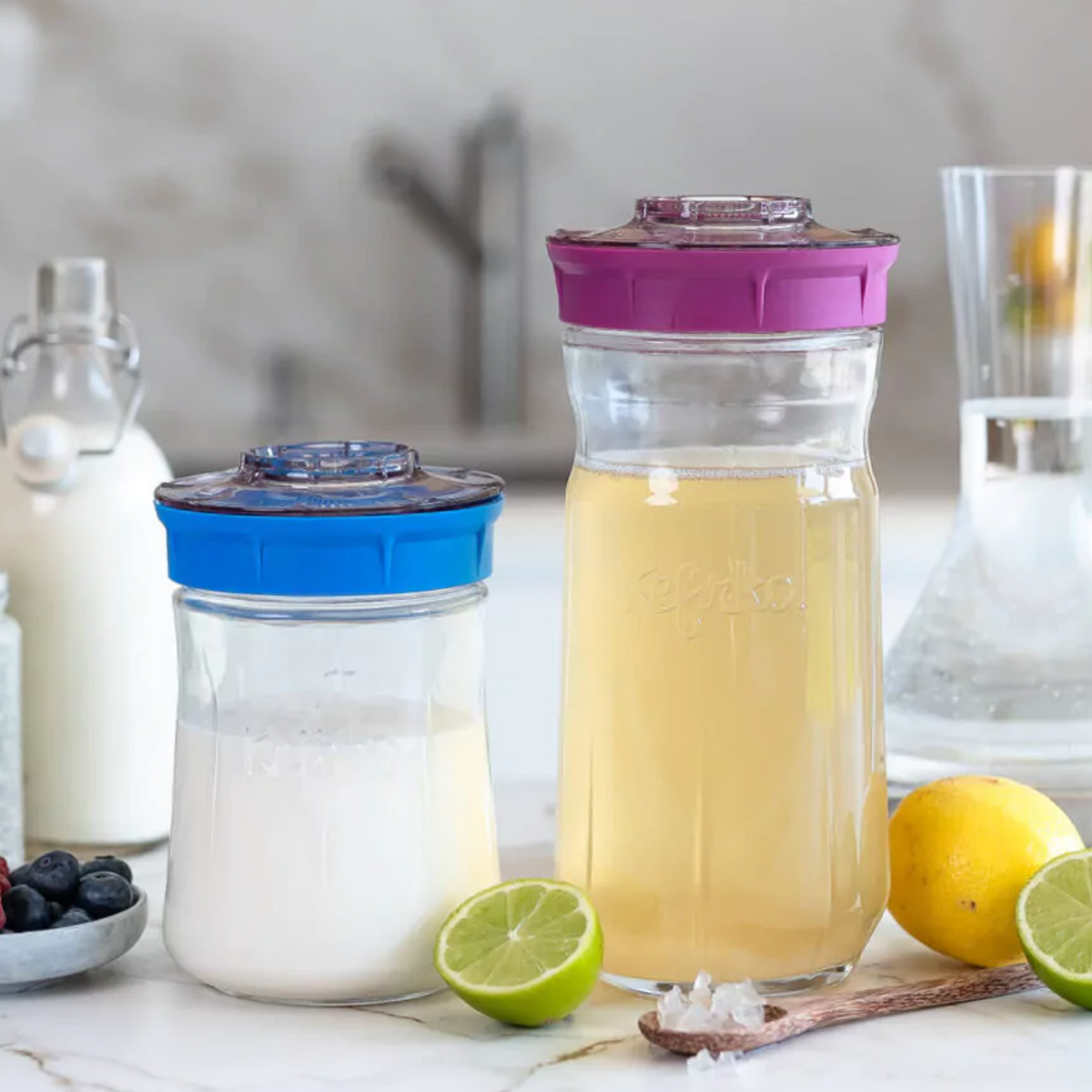 Make Your Own Kefir – Teros