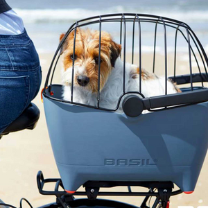 Pet Accessories