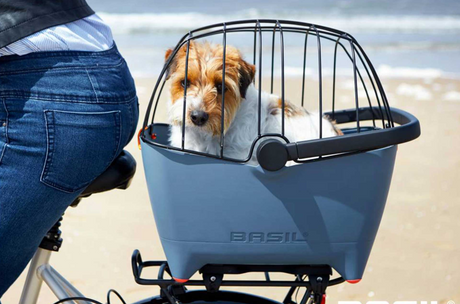 Pet Accessories