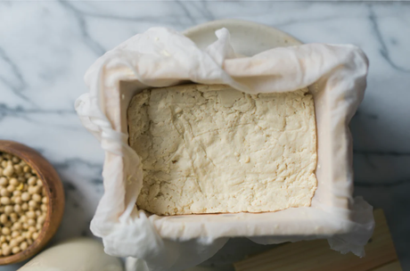 Tofu and Tempeh