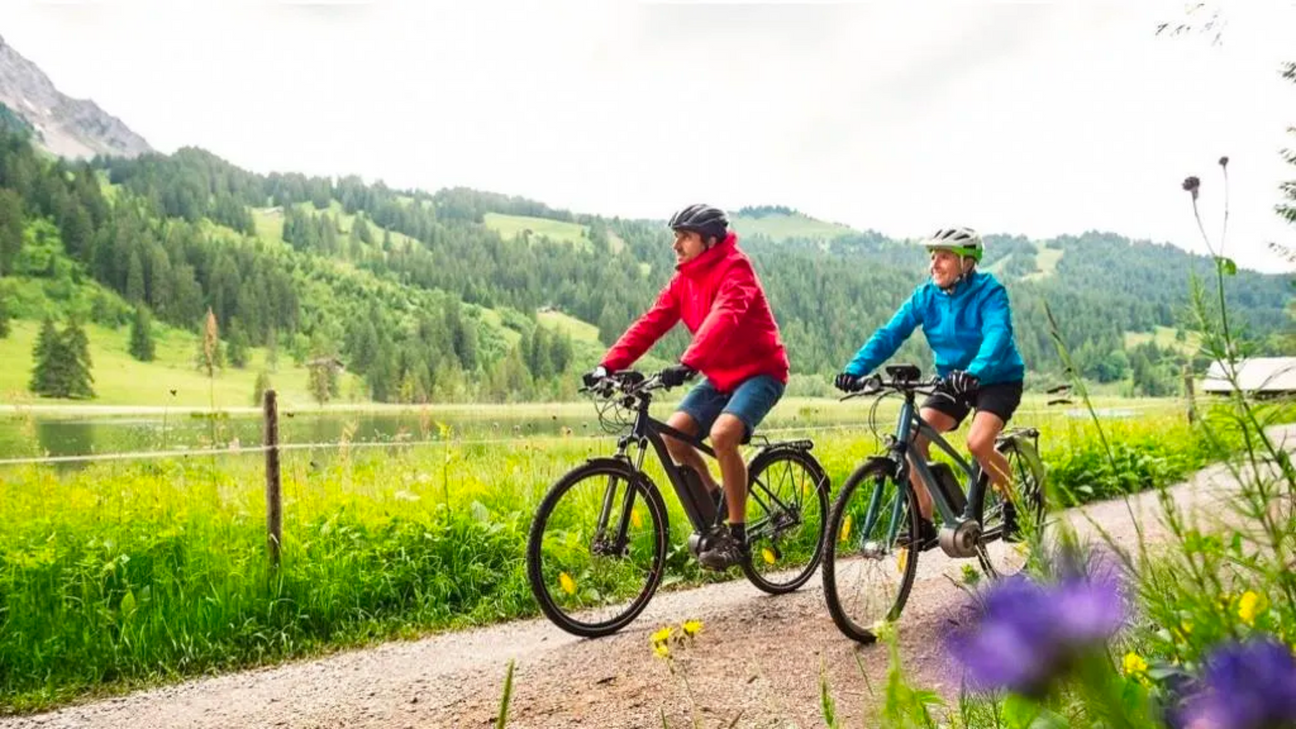 Electric Touring Bikes