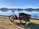 Christiania Light Electric Trike - Sloped Box - Pendix Conversion