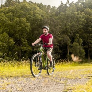 Velectrix Ascent Pulse 29" eMTB