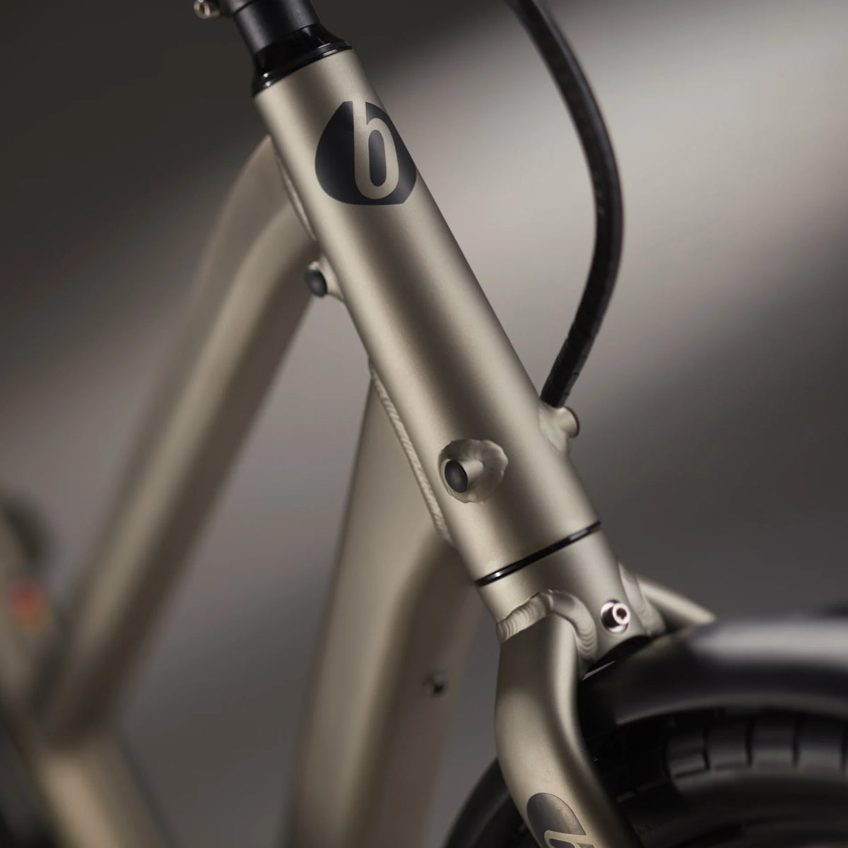 Benno Boost Evo 4 E-Cargo Bike