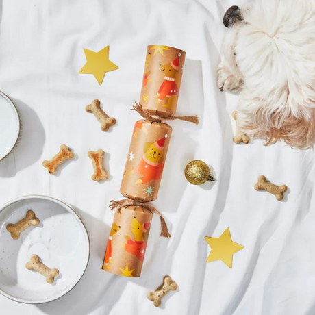 Crackers for Bon Bons DIY Doggy Bonbon