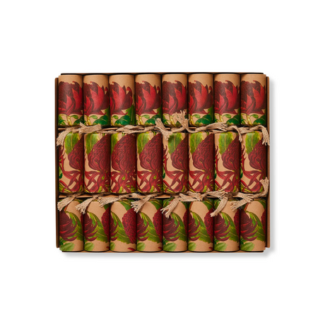 Crackers for Bon Bons Eco (8 Pack)