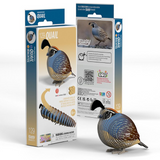 Dodoland Eugy Quail