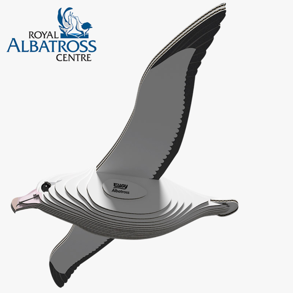 Dodoland Eugy Royal Albatross