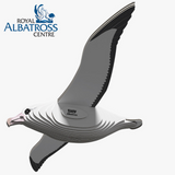 Dodoland Eugy Royal Albatross