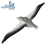 Dodoland Eugy Royal Albatross