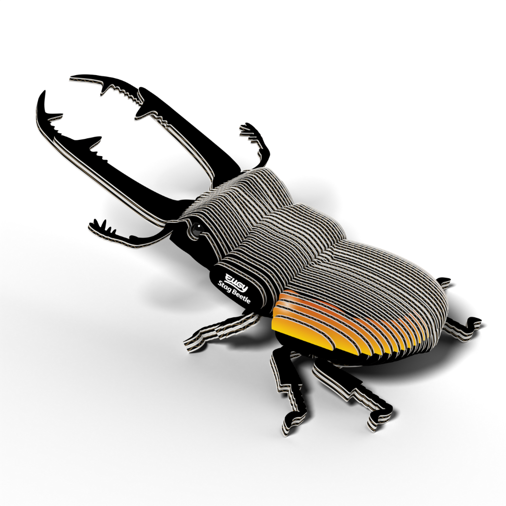 Dodoland Eugy Stag Beetle
