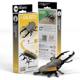 Dodoland Eugy Stag Beetle