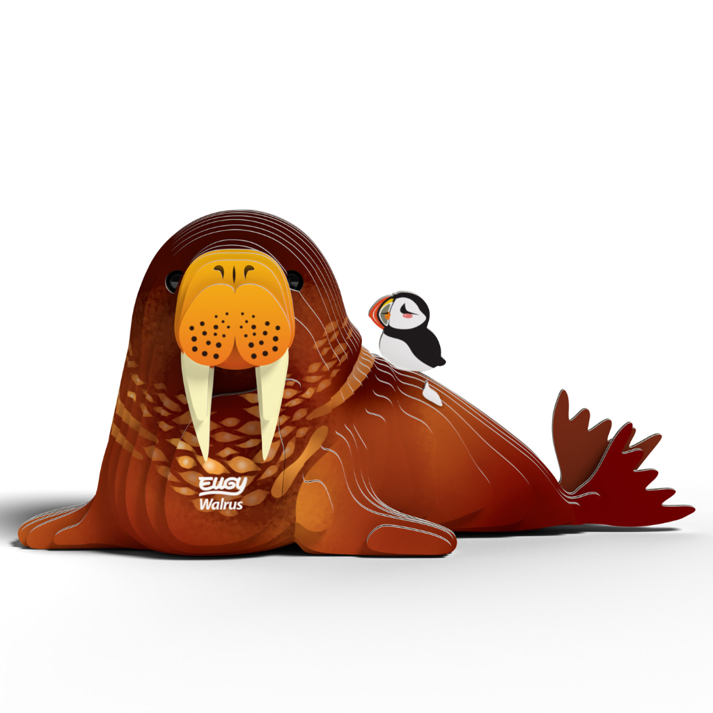 Dodoland Eugy Bald Walrus