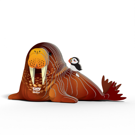 Dodoland Eugy Bald Walrus