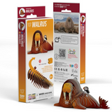 Dodoland Eugy Bald Walrus