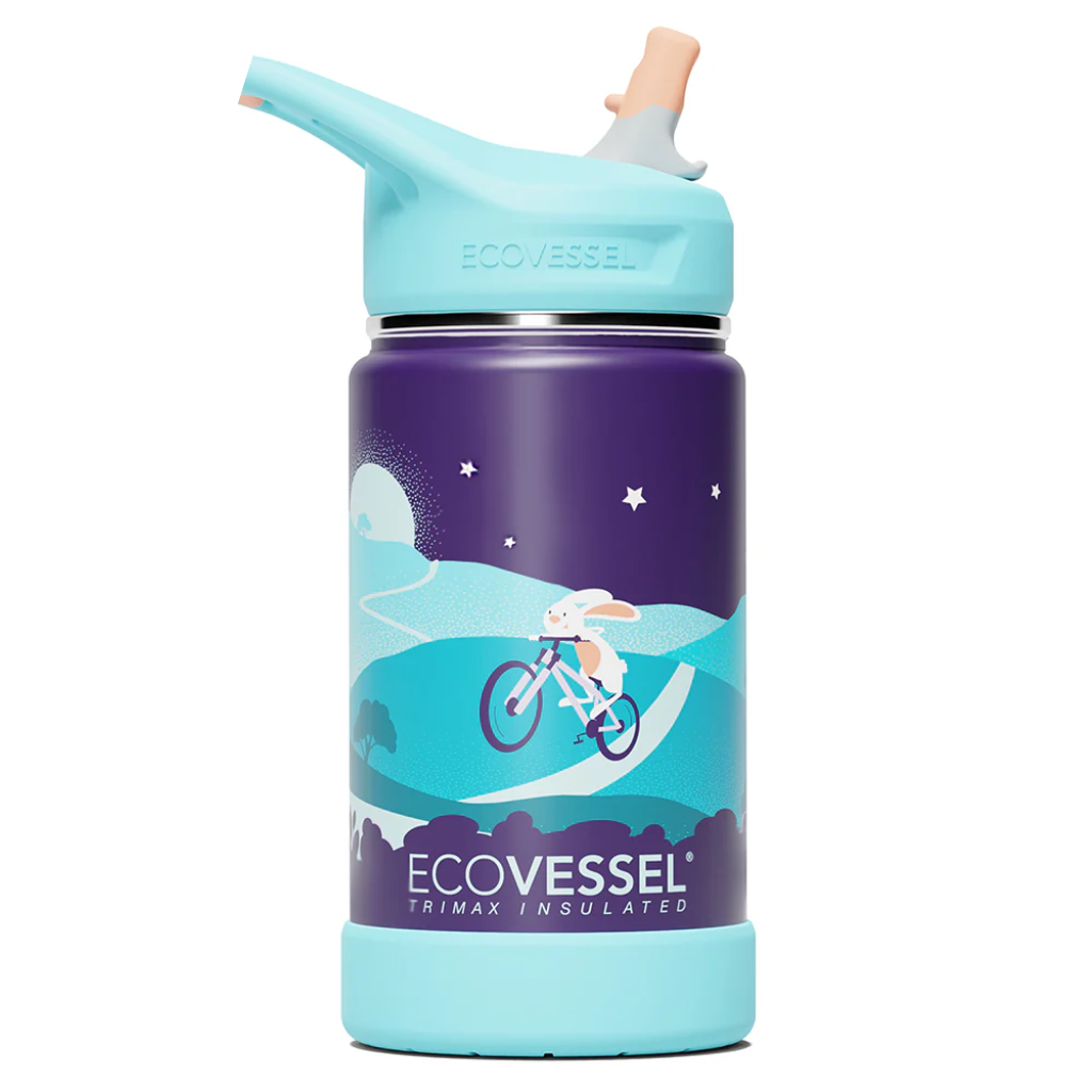 Ecovessel Frost TriMax Insulated Kids Water Bottle with Straw 355 ml