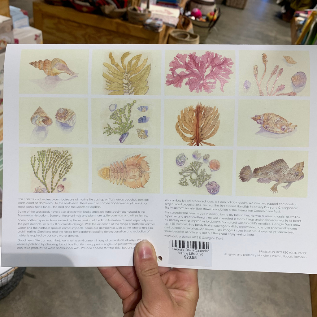 Georgie Davis Calendar Marine Life 2026