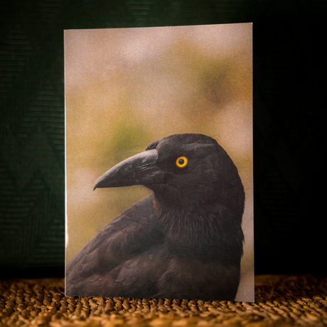 Huon Douglas Greeting Card